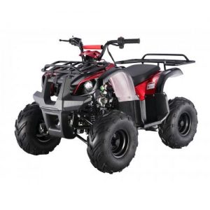 TAO Motors ATA125D