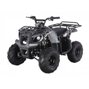 TAO Motors ATA125D Black Spider