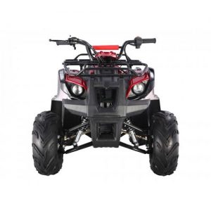 TAO Motors ATA125D Front