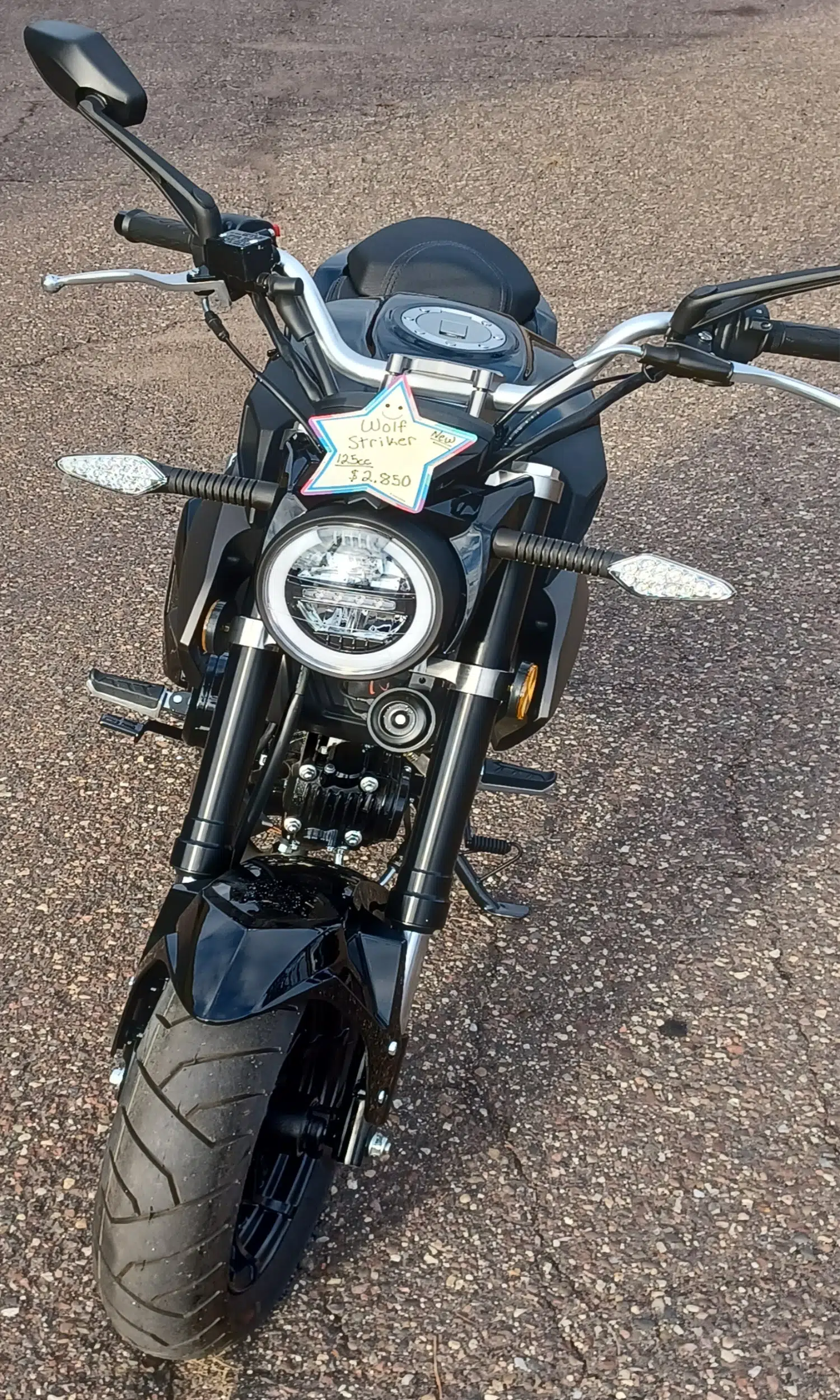 Striker Motorcycle (Front)